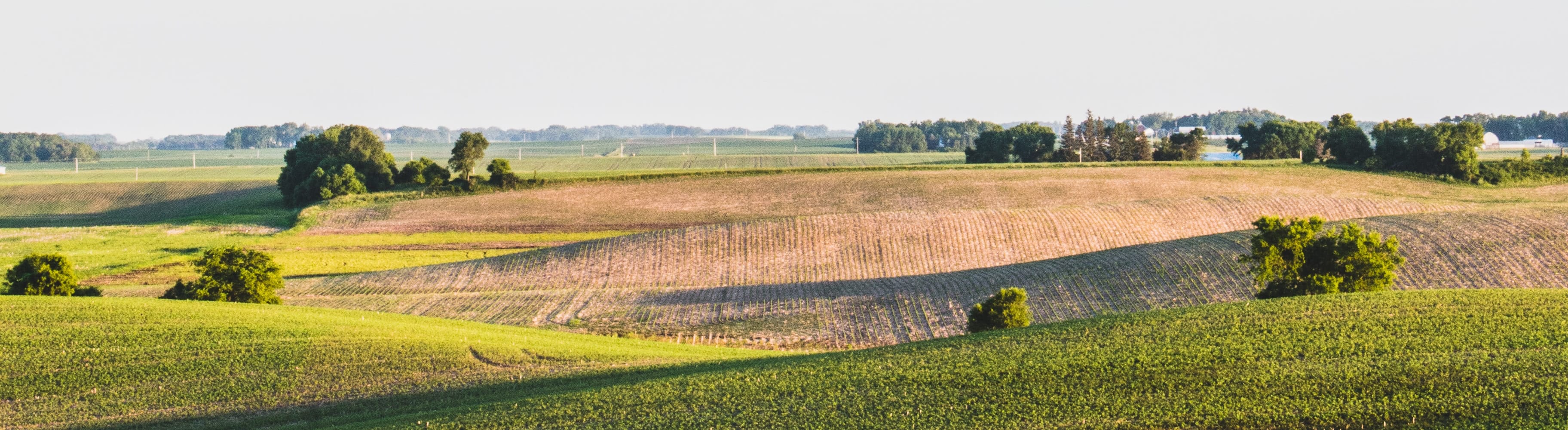 Farmland